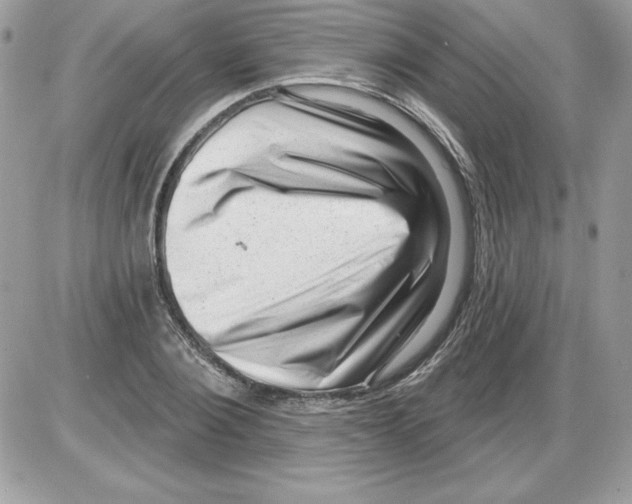 X0000085800884200704131918