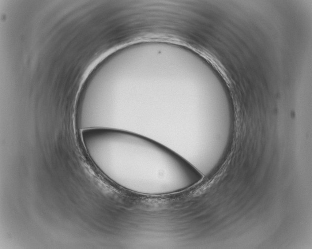 X0000085800888200704131918