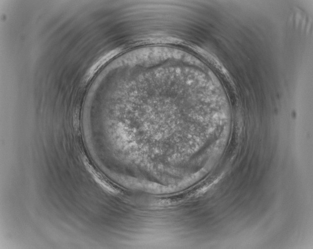 X0000085800889200704131918