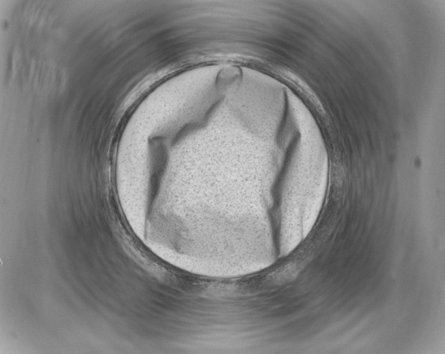 X0000085800890200704131918