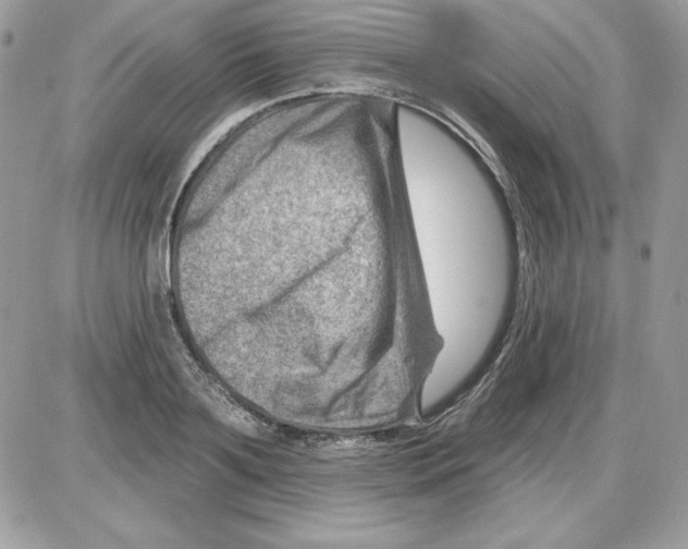 X0000085800891200704131918