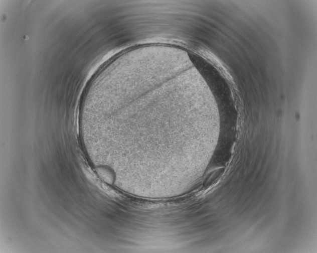 X0000085800892200704131918