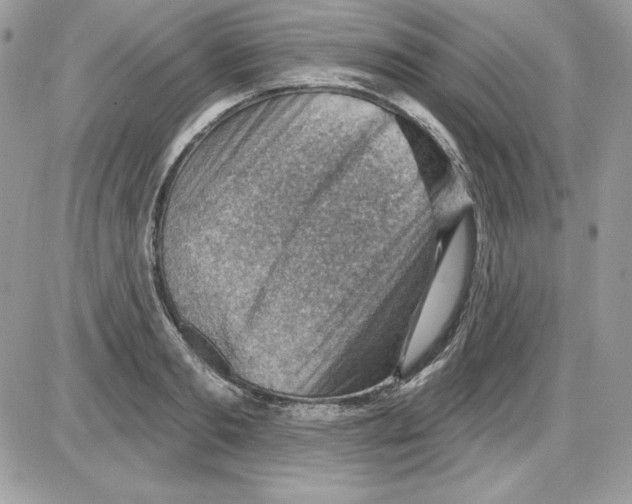 X0000085800893200704131918