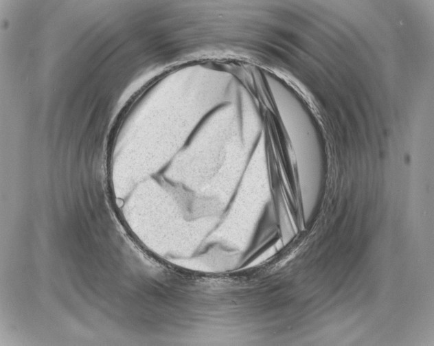 X0000085800894200704131918