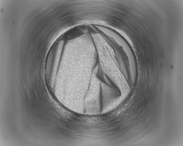 X0000085800895200704131918