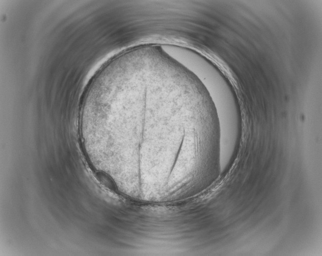 X0000085800896200704131918