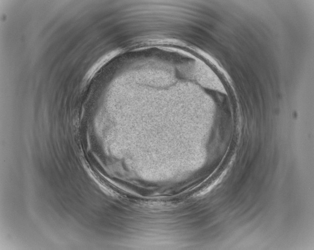 X0000085800897200704131918