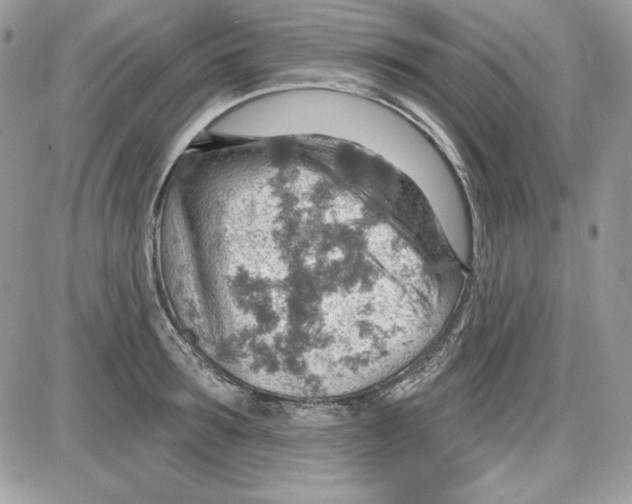 X0000085800899200704131918