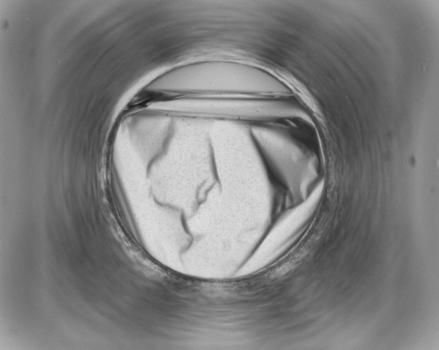 X0000085800904200704131918