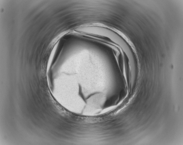 X0000085800905200704131918