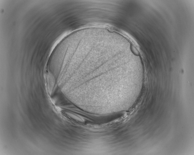 X0000085800907200704131918