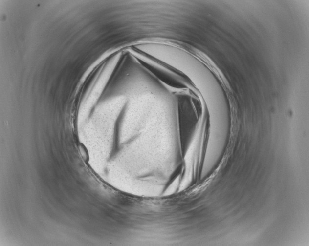 X0000085800908200704131918