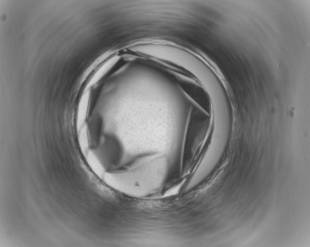 X0000085800909200704131918