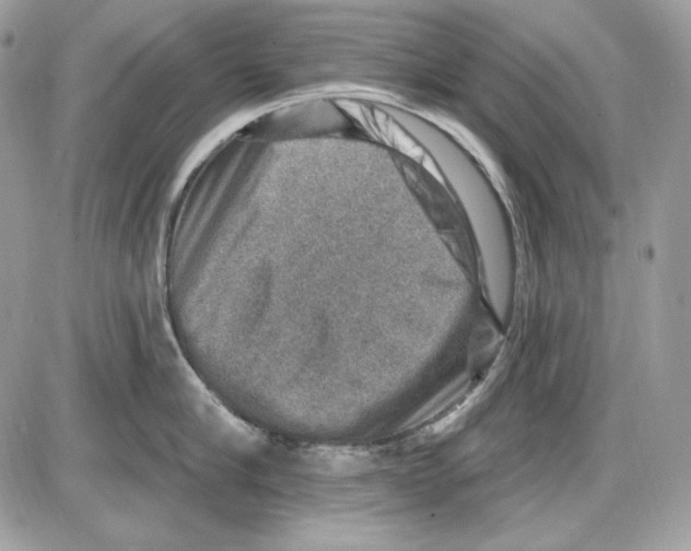 X0000085800910200704131918