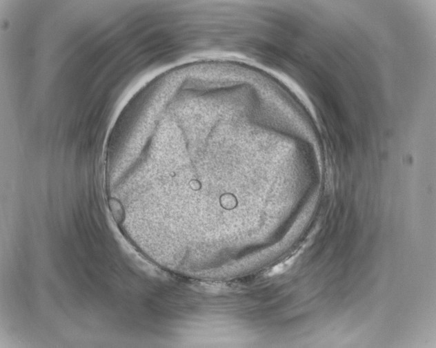 X0000085800911200704131918