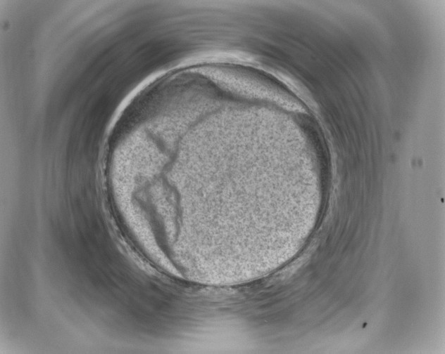 X0000085800912200704131918