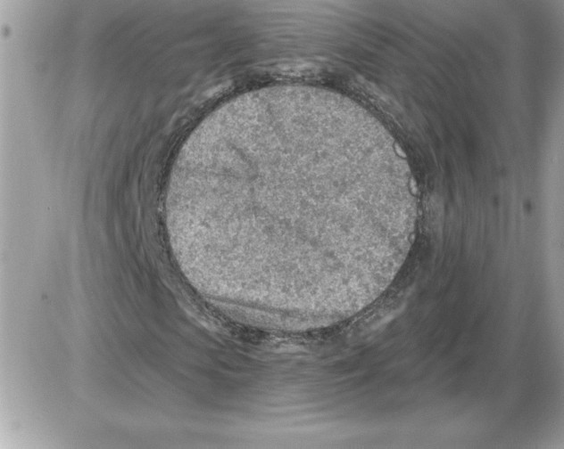 X0000085800913200704131917