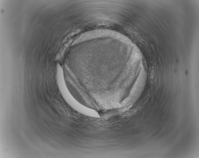 X0000085800916200704131917