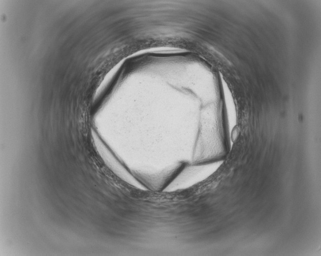 X0000085800917200704131917