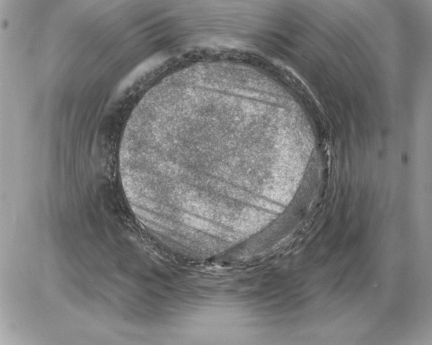 X0000085800919200704131917