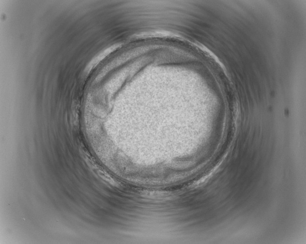 X0000085800921200704131917