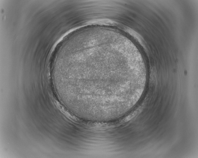 X0000085800923200704131917