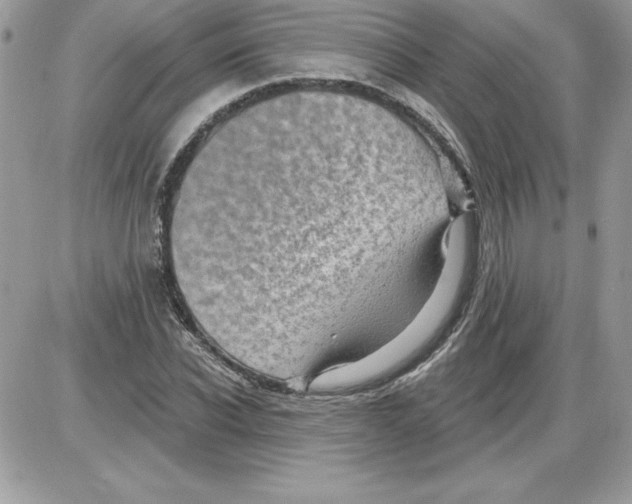 X0000085800926200704131917