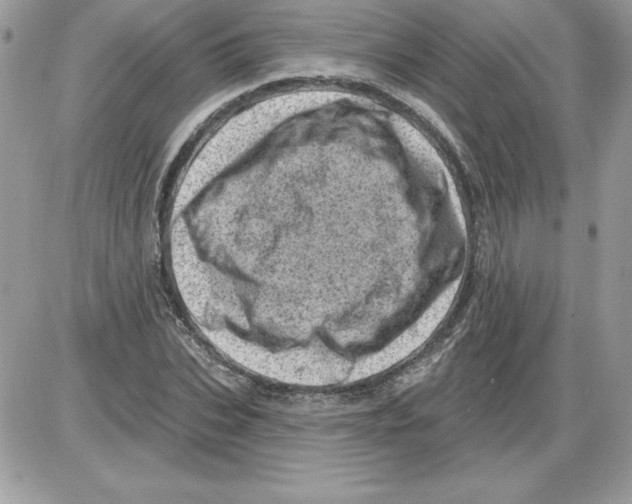 X0000085800927200704131917