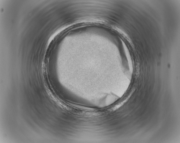 X0000085800928200704131917