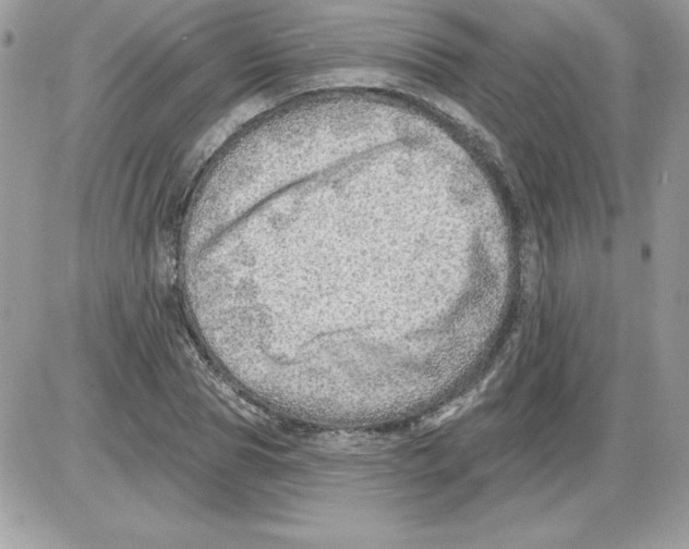 X0000085800929200704131917