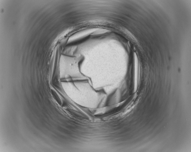 X0000085800930200704131917