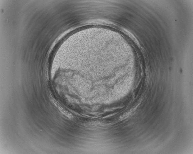 X0000085800931200704131917