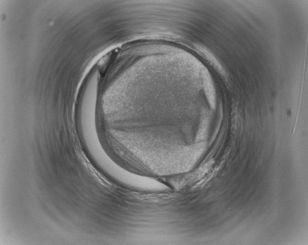 X0000085800932200704131917