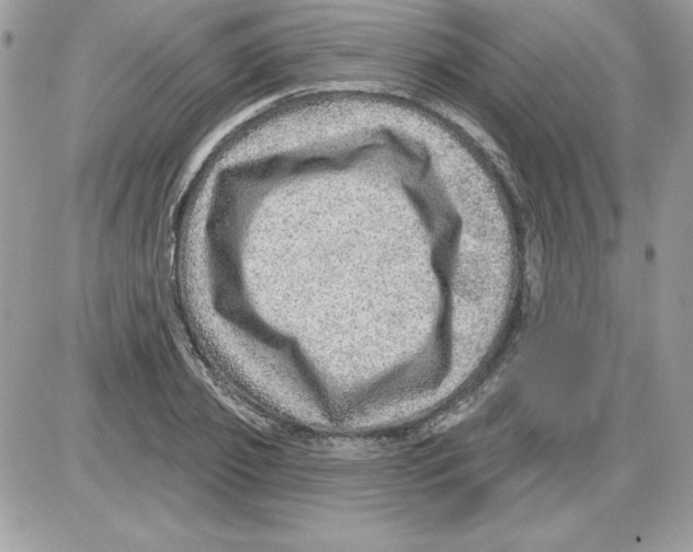 X0000085800933200704131917