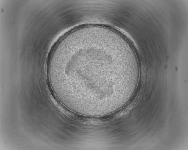 X0000085800935200704131917