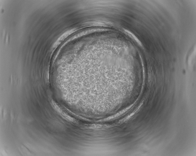 X0000085800938200704131917