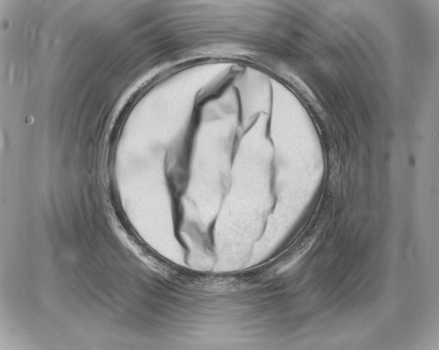 X0000085800939200704131917