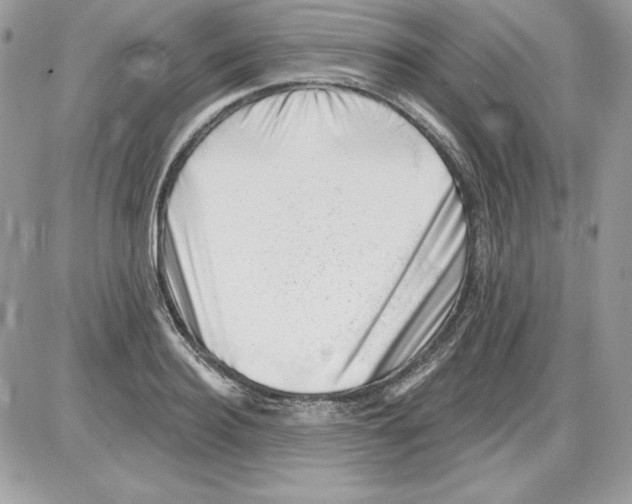 X0000085800940200704131917