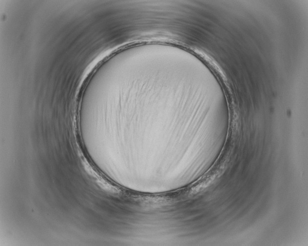 X0000085800941200704131917