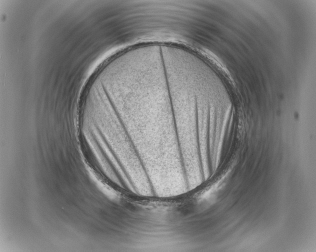 X0000085800942200704131917