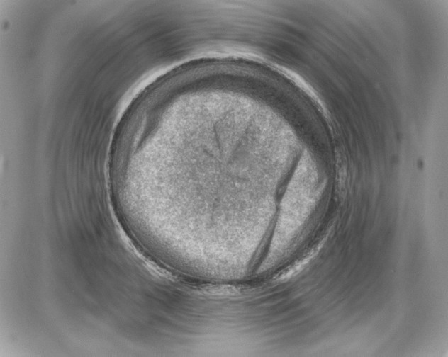 X0000085800943200704131917