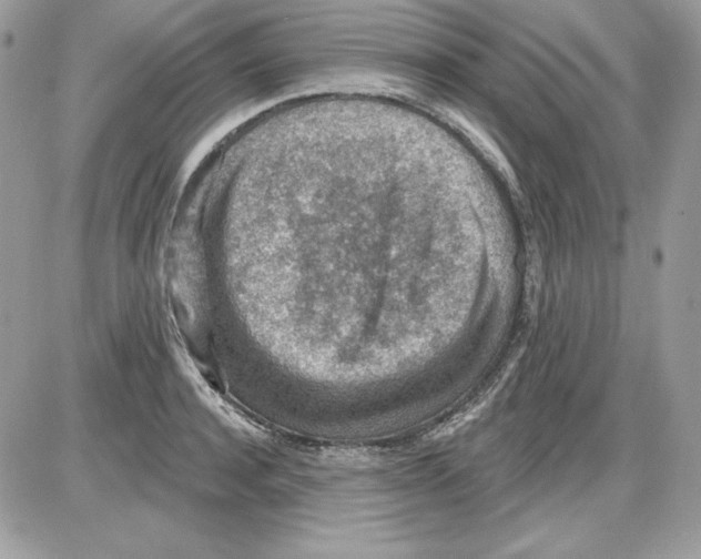 X0000085800944200704131917