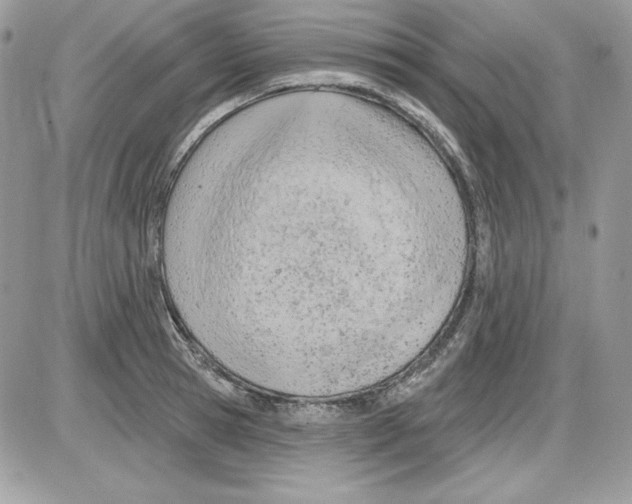 X0000085800945200704131917