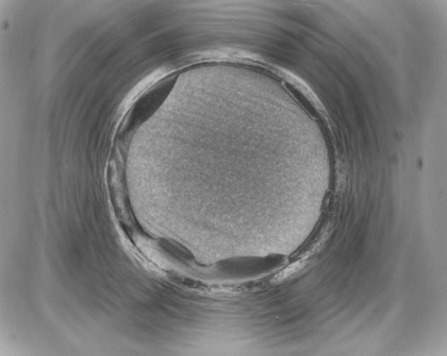 X0000085800946200704131917