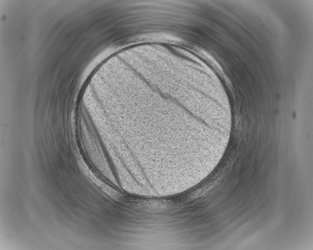 X0000085800947200704131917