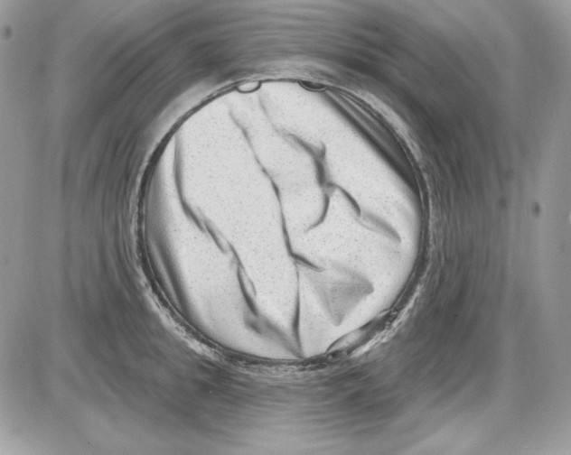 X0000085800949200704131917