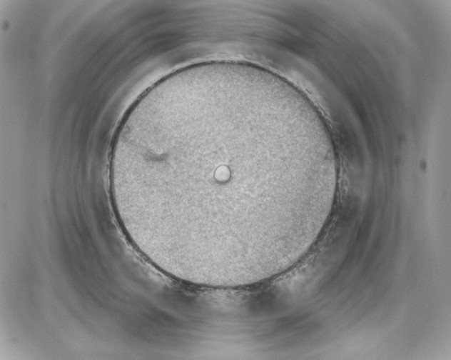 X0000085800950200704131917