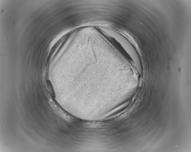 X0000085800952200704131917