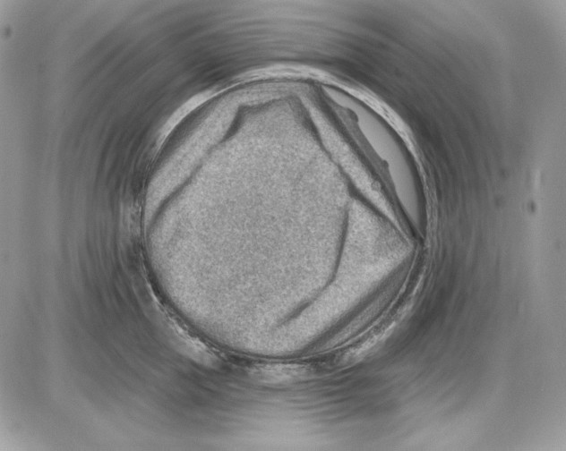 X0000085800953200704131917