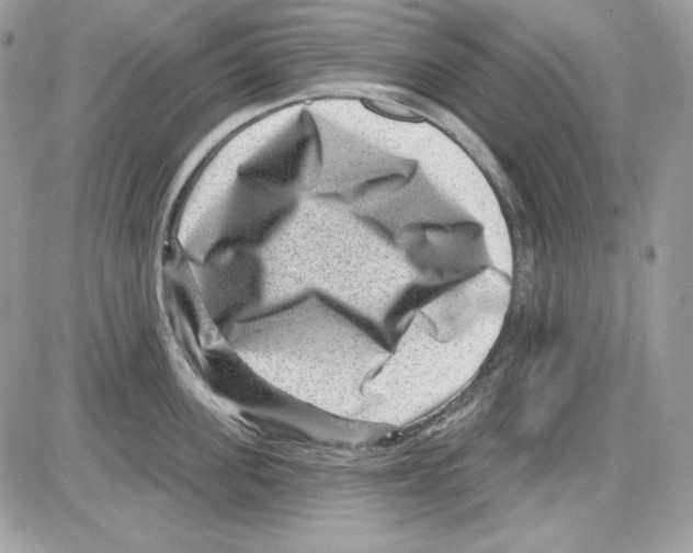 X0000085800955200704131917